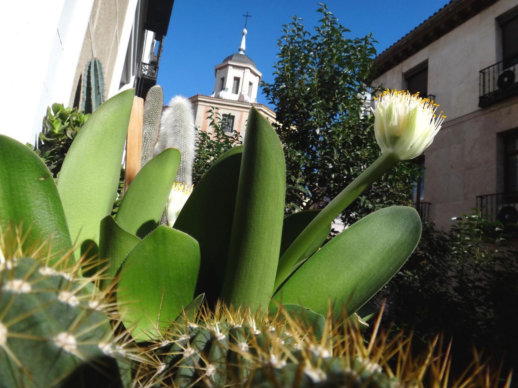 Hostal Horizonte Madrid "Check-In On-Line Recepcion 14H-23H" Exterior foto